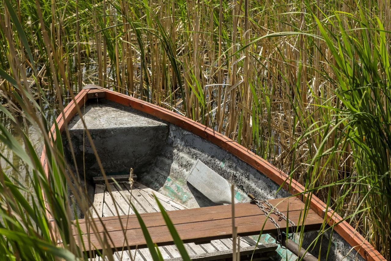 BalatonfůzfőFuzliget Surf Garden公寓 外观 照片