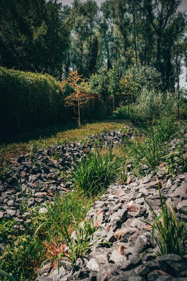 BalatonfůzfőFuzliget Surf Garden公寓 外观 照片